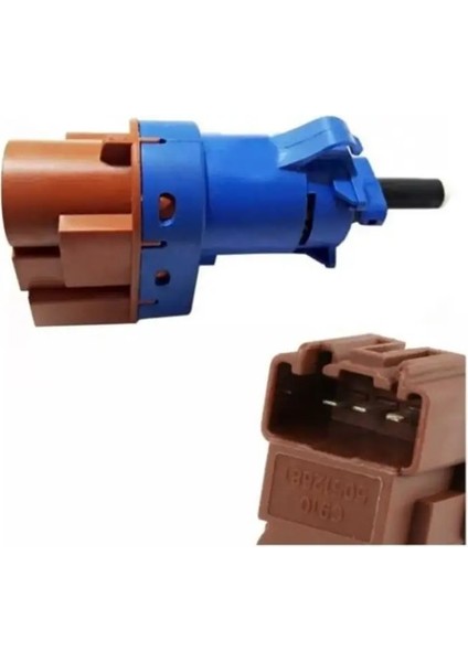 FIFM001 Fren Musiri 50520116 53378929