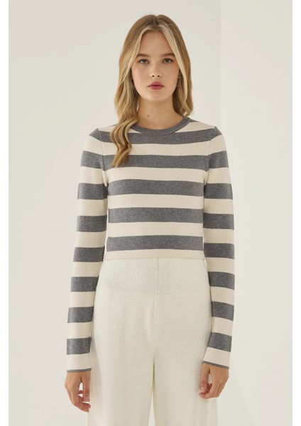 Kadın Çizgili Bisiklet Yaka Triko Üst Grey