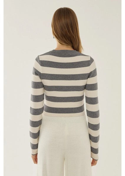 Kadın Çizgili Bisiklet Yaka Triko Üst Grey