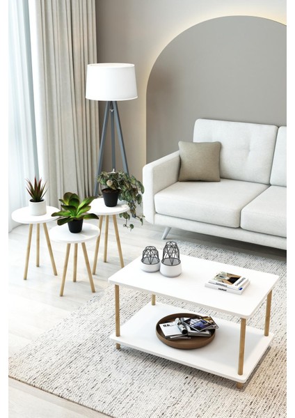 Beyaz 3'lü Ahşap Saksılık Çiçek Standı Ham Ayaklı Dekoratif Amaçlı Kullanım modelleri