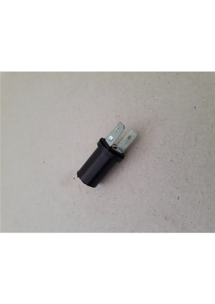 Kip 53 Ampul Duyu Ford Cargo N11.10304