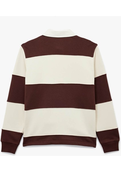 Çizgili Bordo Erkek Sweatshirt 6WAM70067MK fiyatları