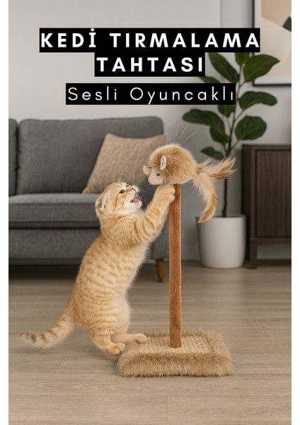 Kedi Tırmalama Tahtası Sesli Oyuncaklı Yapıda Casapetra