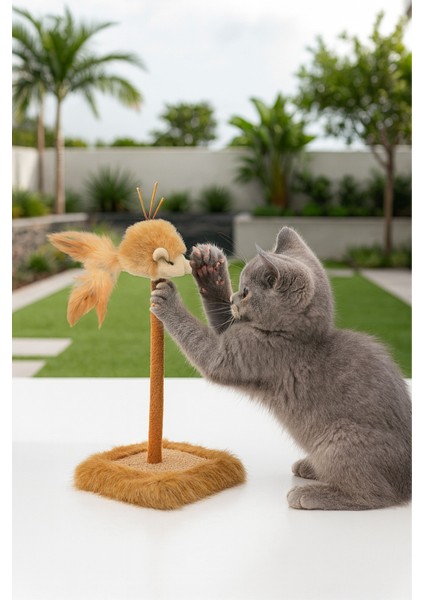 Kedi Tırmalama Tahtası Sesli Oyuncaklı Yapıda Casapetra fiyatları