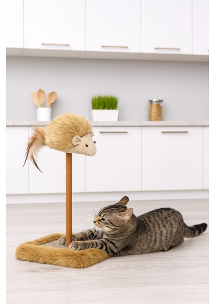 Kedi Tırmalama Tahtası Sesli Oyuncaklı Yapıda Casapetra modelleri