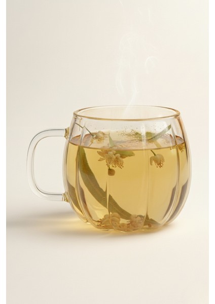 Bal Kabak Tasarımlı Kulplu Çay Bardağı Cam Bardak Fincan Casapetra indirimleri