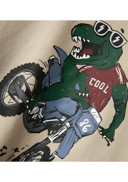 Erkek Çocuk Uzun Kollu Tişört fiyatları