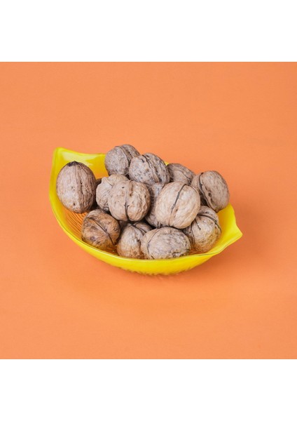 Kitchen Limon Çerezlik - Sarı - 9 cm fiyatları