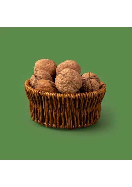 Çerezlik - Kahverengi - 11,5 cm