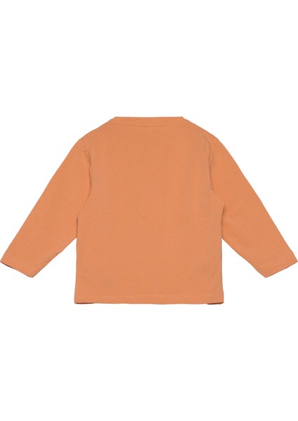 Erkek Çocuk Baskılı Uzun Kollu T-Shirt modelleri