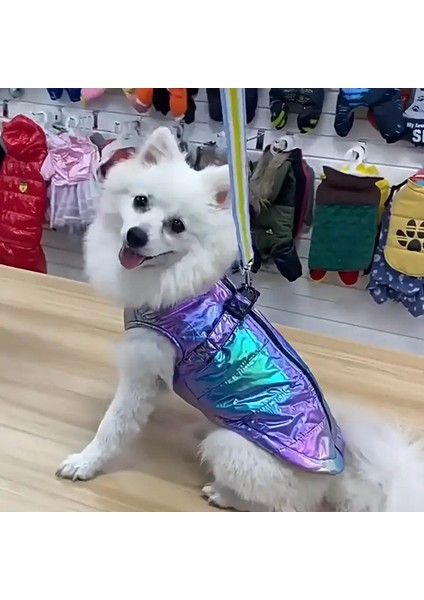 Kedi ve Köpek Için Su Geçirmez Reflektif Gradyan Yelek fiyatları