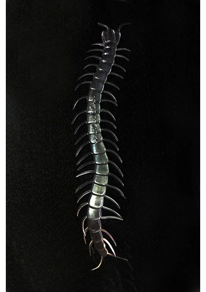 Bfs Nessiworld Şeffaf Renk Karanlıkta Parlayan Fosforlu Kırkayak 13 cm 1 Adet