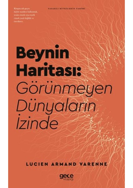 Beynin Haritası Görünmeyen Dünyaların Izinde