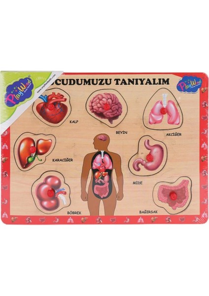 Bfs ONY-287 288 Ahşap Tutmalı Vücumuzu Tanıyalım -Onyıl Oyuncak