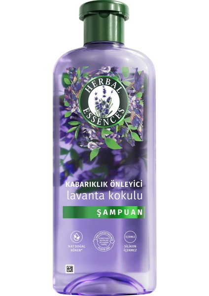 Kabarıklık Önleyici Lavanta Kokulu Şampuan 350 ml