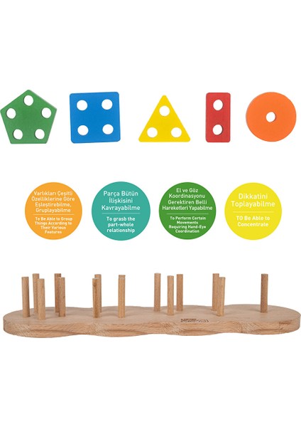 Geometrık Bul Tak modelleri