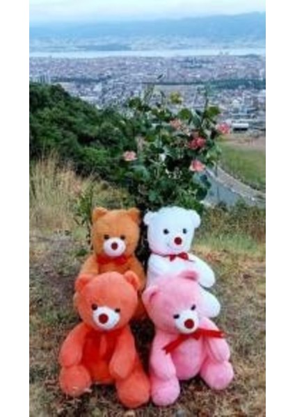 Oyuncak Peluş Ayı 55 cm