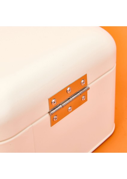 Galvaniz Bisküvi Kutusu - Krem - 3,5 Lt modelleri