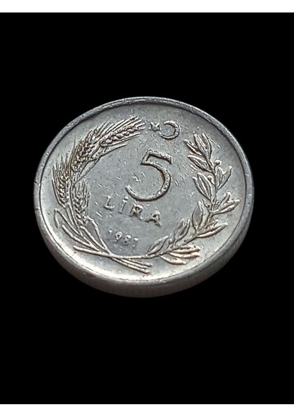 5 Lira 1981 Madeni Koleksiyon Para. Antika Madeni Para..
