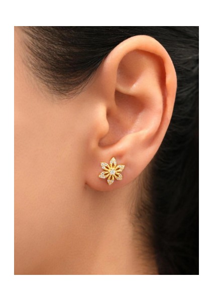 95 Ayar Sarı Altın Kaplama Zirkon Taşlı Yıldız Model Gümüş Küpe fiyatları