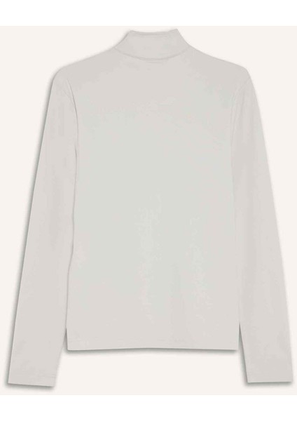 fit Standart Fit Dik Yaka Fermuarlı Sporcu Sweatshirt F1687AX25WN modelleri