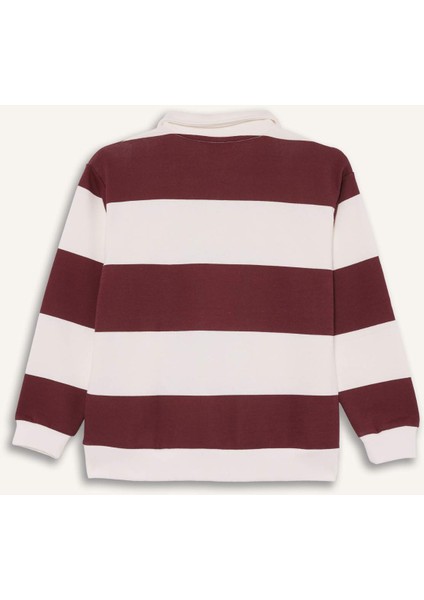 Erkek Çocuk Polo Yaka Renk Bloklu Uzun Kollu Tişört F5751A825AU modelleri