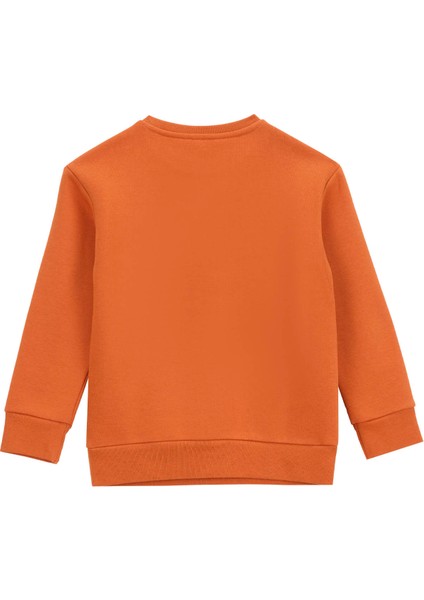 Baskılı Erkek Çocuk Kiremit Sweatshırt D5WB-SWT3041 fiyatları