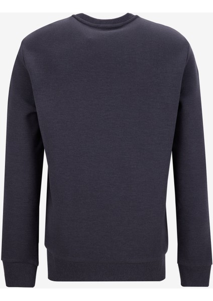 D5WM-SWT3940 Antrasit Melanj Bisiklet Yaka Relaxed Düz Erkek Sweatshırt modelleri