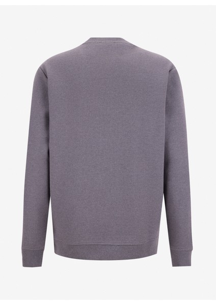 D5WM-SWT3987 Antrasit Bisiklet Yaka Relaxed Düz Erkek Sweatshırt modelleri