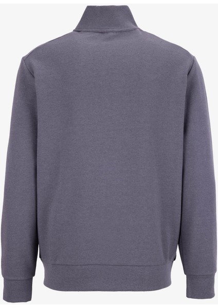 D5WM-SWT3988 Antrasit Dik Yaka Relaxed Düz Erkek Sweatshırt modelleri