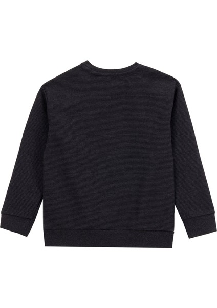 Düz Erkek Çocuk Antrasit Sweatshırt D5WB-SWT3102 fiyatları