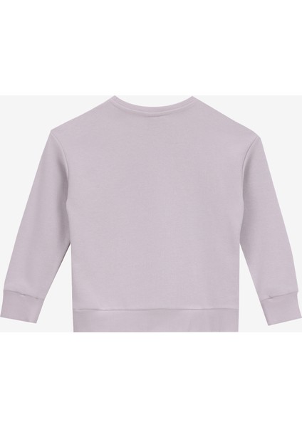 Baskılı Kız Çocuk Gri Sweatshırt BRB5WG-SWT6631 fiyatları