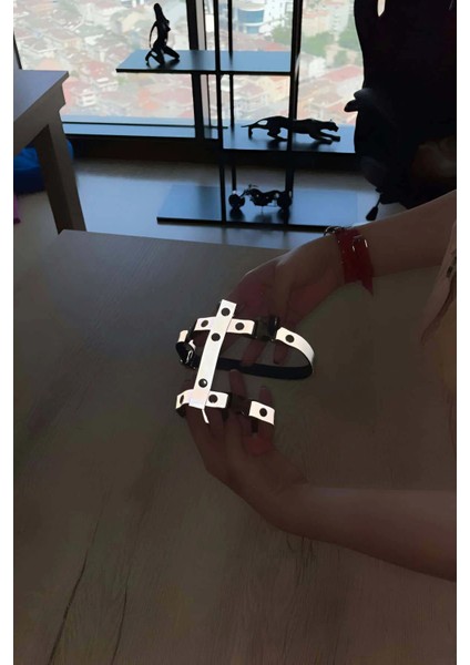 Kedi Harness Karanlıkta Yansıyan Göğüs ve Gezdirme Seti - NPC007