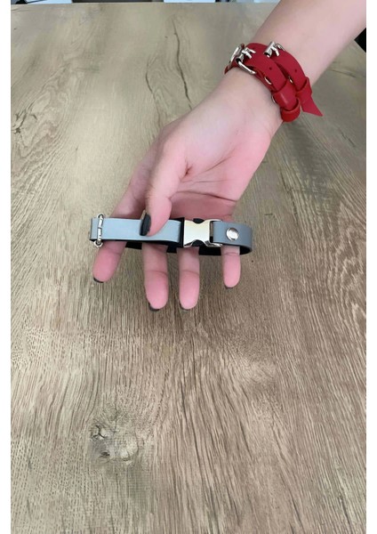 Kedi Reflektörlü Tasma , Karanlıkta Yansıyan Tasma - NPC004