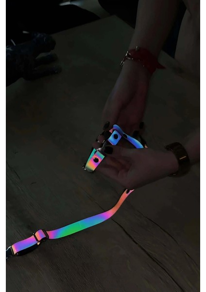 Kedi Reflektörlü Harness Göğüs ve Gezdirme Seti - NPC007