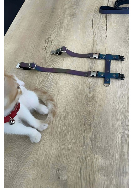 Kedi Reflektörlü Harness Göğüs ve Gezdirme Seti - NPC007 fiyatları