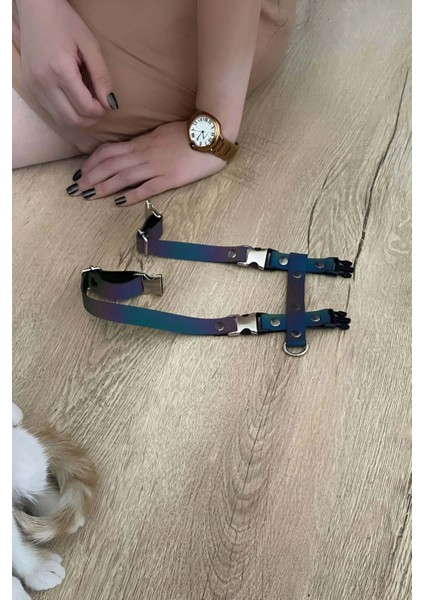 Kedi Reflektörlü Harness Göğüs ve Gezdirme Seti - NPC007 fırsatları
