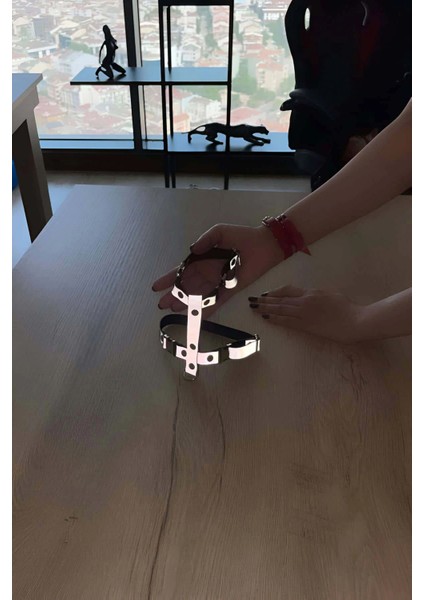Kedi Harness Karanlıkta Yansıyan Göğüs ve Gezdirme Seti - NPC007 modelleri