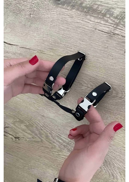 Kedi Harness Göğüs ve Gezdirme Seti - NPC007 fiyatları