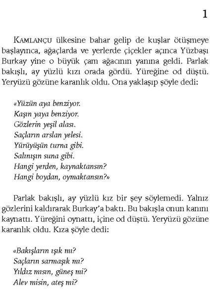 Ruh Adam - Hüseyin Nihal Atsız