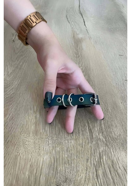 Kedi Reflektörlü Harness , Kedi Tasması - NPC001