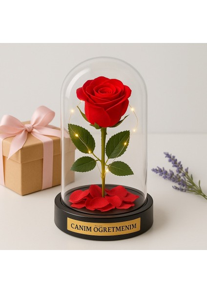 Sevgiliye Eşe Öğretmenler Gününe Anlam Katan Özel Fanusta LED Işıklı Canım Öğretmenim Hediye Biblosu modelleri