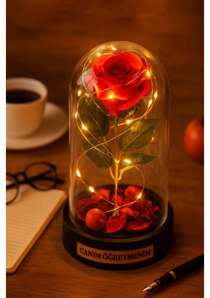 Sevgiliye Eşe Öğretmenler Gününe Anlam Katan Özel Fanusta LED Işıklı Canım Öğretmenim Hediye Biblosu indirimleri