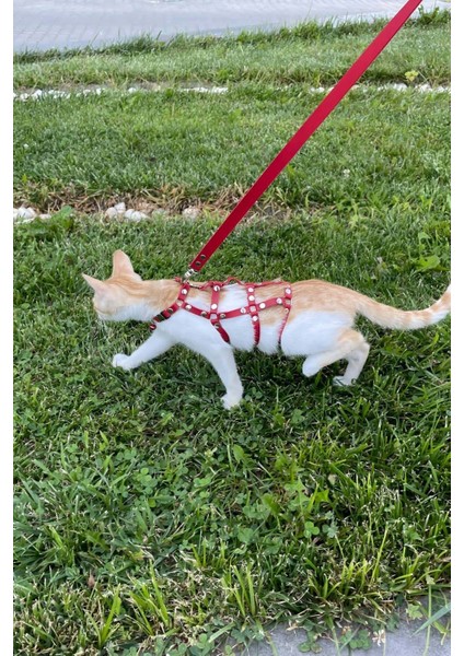 Full Body Kedi Harness, Kedi Gezdirme Tasması, Kedi Sokak Tasması - NPC011 modelleri