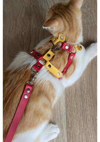 Deri Kedi Gezdirme Tasması, Deri Kedi Göğüs Tasması - NPC013