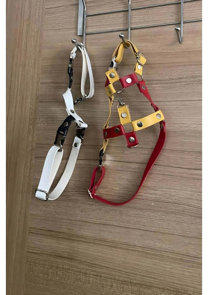 Deri Kedi Gezdirme Tasması, Deri Kedi Göğüs Tasması - NPC013 fiyatları