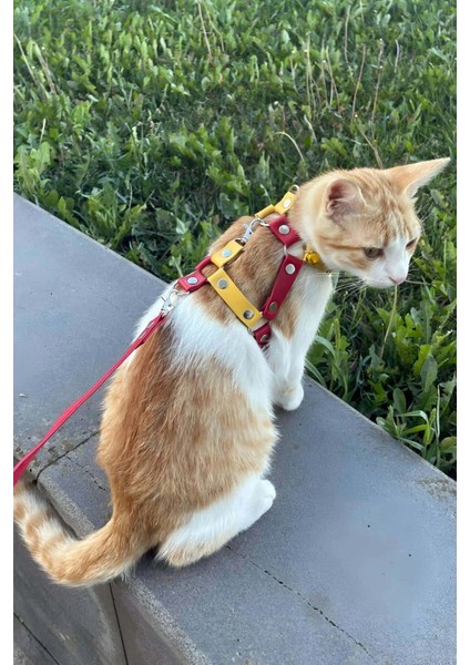 Deri Kedi Gezdirme Tasması, Deri Kedi Göğüs Tasması - NPC013 modelleri