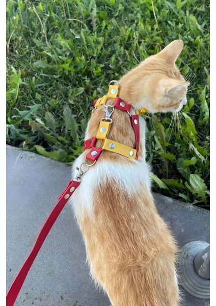 Deri Kedi Gezdirme Tasması, Deri Kedi Göğüs Tasması - NPC013 fırsatları