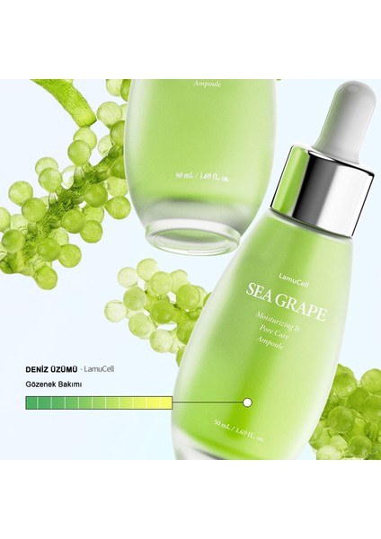 Sea Grape Yaşlanma ve Kırışıklık Karşıtı Bakım Ampulü 50 ml indirimleri