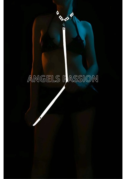 Karanlıkta Işıkla Parlayan Özel Tasma - APFT309 fiyatları